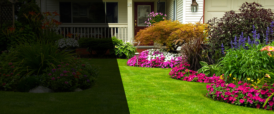 Nathalie Landscapers