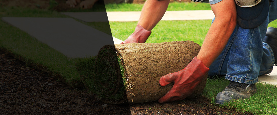 Nathalie Landscapers